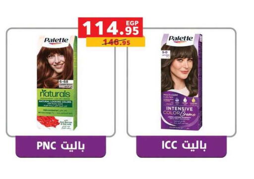 available at بنده in Egypt - القاهرة