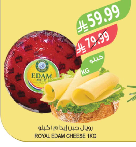 available at Farm  in KSA, Saudi Arabia, Saudi - Al-Kharj