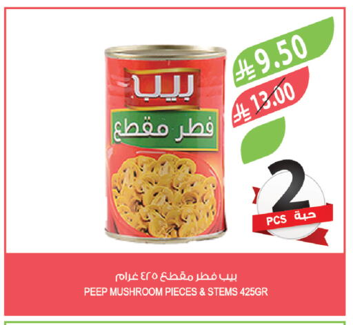 Mushroom available at المزرعة in مملكة العربية السعودية, السعودية, سعودية - الخرج
