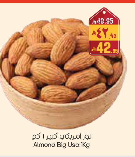 available at City Flower in KSA, Saudi Arabia, Saudi - Sakaka