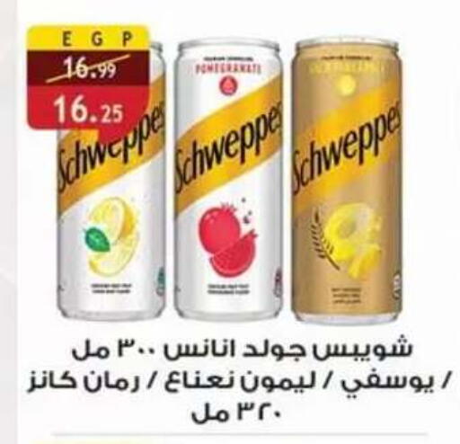 Pomegranate available at Al Rayah Market   in Egypt - Cairo