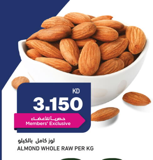 available at أونكوست in الكويت - محافظة الجهراء