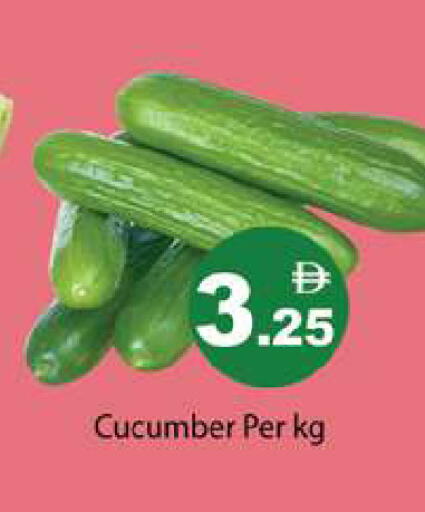 Cucumber available at جلف هايبرماركت ذ.م.م in الإمارات العربية المتحدة , الامارات - رَأْس ٱلْخَيْمَة