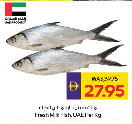 available at ADCOOP in UAE - Abu Dhabi