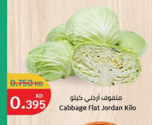 Cabbage from Jordan available at City Hypermarket in Kuwait - Jahra Governorate