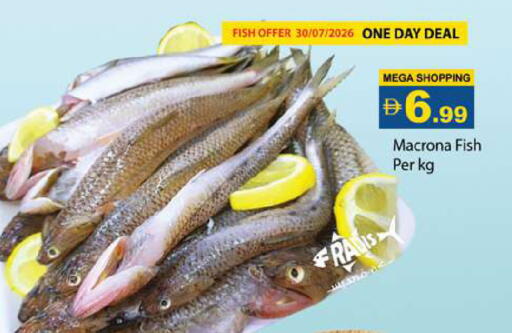 available at Gulf Hypermarket LLC in UAE - Ras al Khaimah
