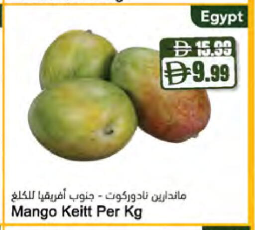 Mango from Egypt available at Almaya Supermarkets in UAE - Ras al Khaimah