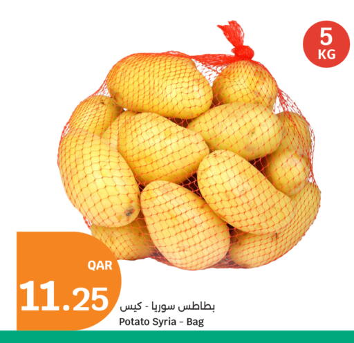 Potato from Syria available at City Hypermarket in Qatar - Umm Salal