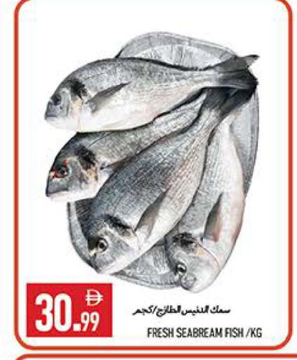 available at  روابي ماركت عجمان in الإمارات العربية المتحدة , الامارات - الشارقة / عجمان