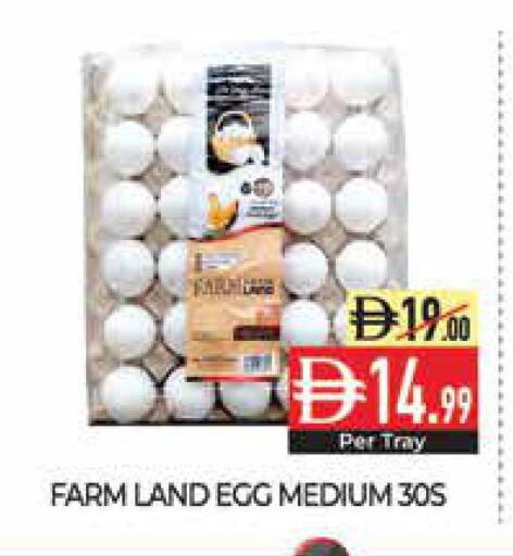 available at Delice Supermarket in UAE - Abu Dhabi
