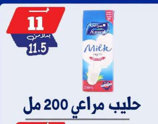 available at بندق ماركت in Egypt - القاهرة