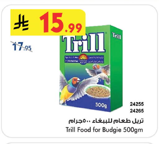 available at بن داود in مملكة العربية السعودية, السعودية, سعودية - خميس مشيط