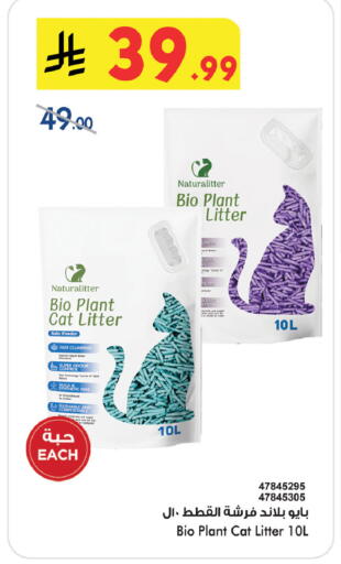available at بن داود in مملكة العربية السعودية, السعودية, سعودية - خميس مشيط