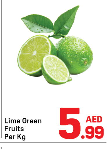 available at دي تو دي in الإمارات العربية المتحدة , الامارات - دبي