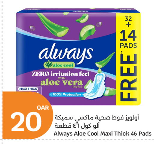 available at سيتي هايبرماركت in قطر - الضعاين