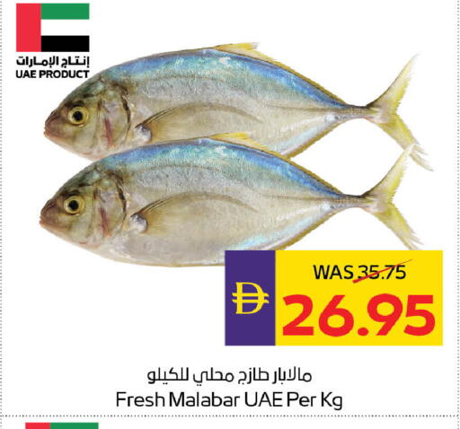 available at ADCOOP in UAE - Abu Dhabi