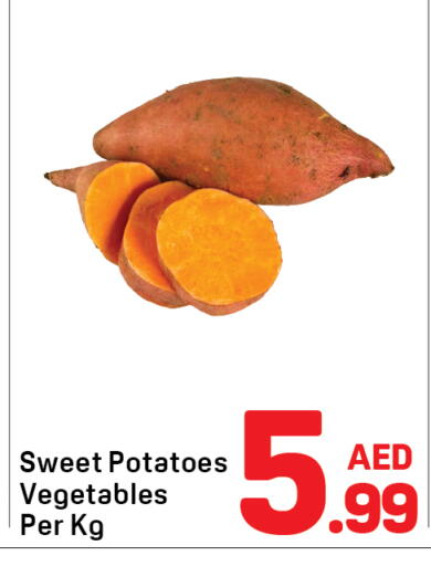 available at دي تو دي in الإمارات العربية المتحدة , الامارات - دبي