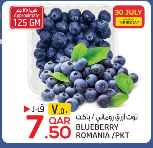 Blueberry BlueBerry from Romania available at السعودية in قطر - الضعاين