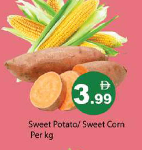 Sweet Potato available at Gulf Hypermarket LLC in UAE - Ras al Khaimah