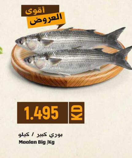 available at Grand Hyper in Kuwait - Jahra Governorate
