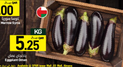 Marrow Eggplant from Syria Oman available at SPAR in Qatar - Umm Salal