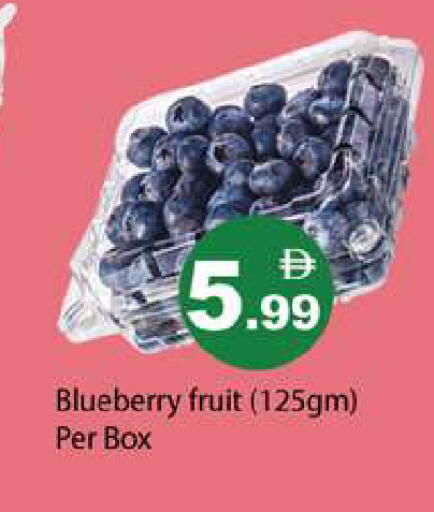 Blueberry BlueBerry available at Gulf Hypermarket LLC in UAE - Ras al Khaimah