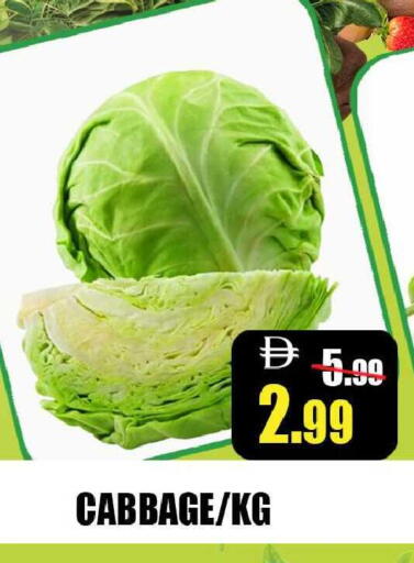 Cabbage available at Leptis Hypermarket  in UAE - Ras al Khaimah