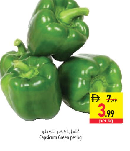 Capsicum available at السفير ماركت in الإمارات العربية المتحدة , الامارات - الشارقة / عجمان