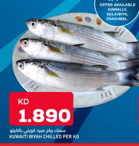available at Oncost in Kuwait - Jahra Governorate