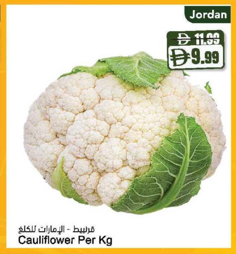 Cauliflower from Jordan available at Almaya Supermarkets in UAE - Dubai