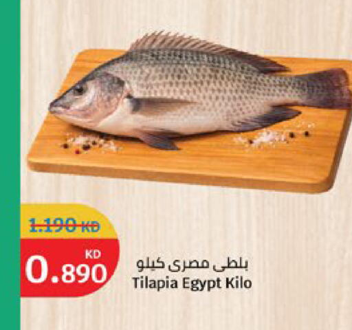available at City Hypermarket in Kuwait - Jahra Governorate