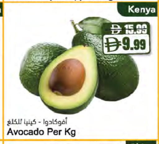 Avocado from Kenya available at Almaya Supermarkets in UAE - Ras al Khaimah