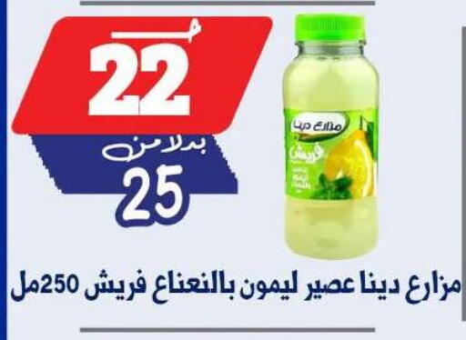 available at بندق ماركت in Egypt - القاهرة
