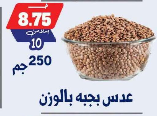 available at بندق ماركت in Egypt - القاهرة