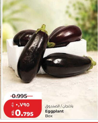 Eggplant available at Lulu Hypermarket  in Kuwait - Jahra Governorate