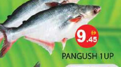 available at Zain Mart Supermarket in UAE - Ras al Khaimah