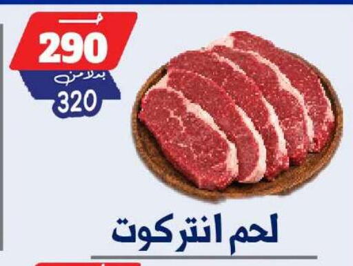 available at بندق ماركت in Egypt - القاهرة