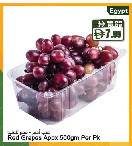 Grapes from Egypt available at المايا سوبرماركت in الإمارات العربية المتحدة , الامارات - دبي