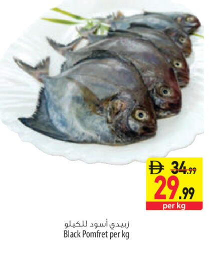 available at السفير ماركت in الإمارات العربية المتحدة , الامارات - الشارقة / عجمان