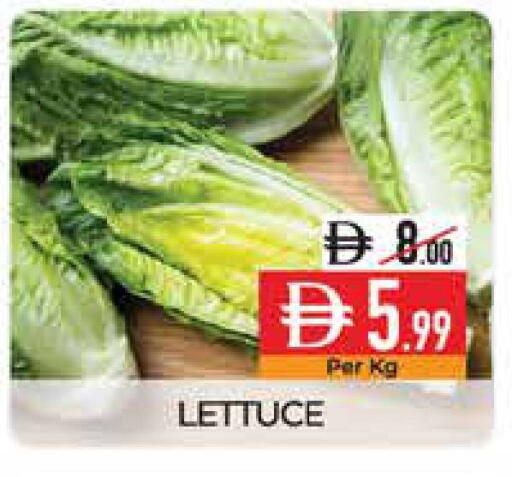 Lettuce available at ديلايس سوبرماركت in الإمارات العربية المتحدة , الامارات - أبو ظبي