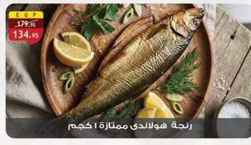 available at Al Rayah Market   in Egypt - Cairo