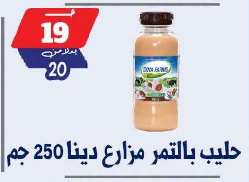 available at بندق ماركت in Egypt - القاهرة