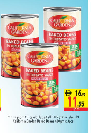 Tomato available at السفير ماركت in الإمارات العربية المتحدة , الامارات - الشارقة / عجمان