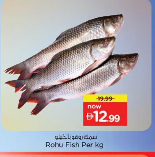 available at Nesto Hypermarket in UAE - Ras al Khaimah