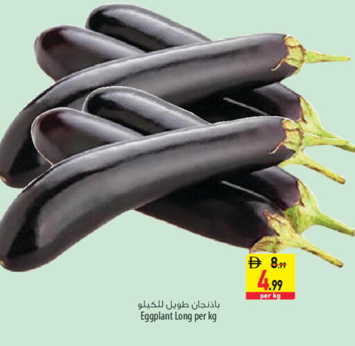 Eggplant available at السفير ماركت in الإمارات العربية المتحدة , الامارات - الشارقة / عجمان