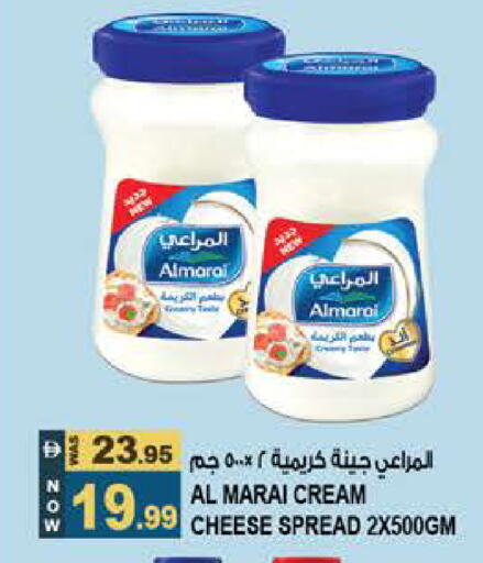 available at هاشم هايبرماركت in الإمارات العربية المتحدة , الامارات - الشارقة / عجمان