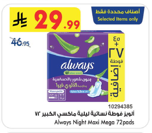 available at بن داود in مملكة العربية السعودية, السعودية, سعودية - خميس مشيط