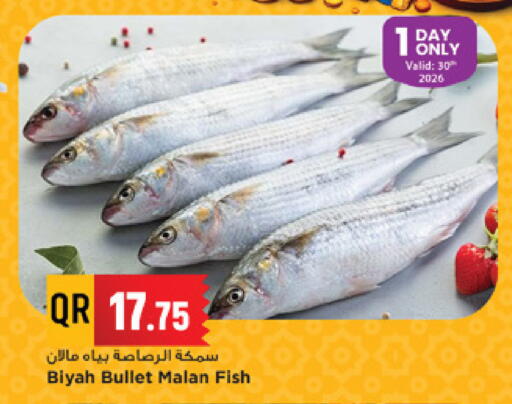 available at مرزا هايبرماركت in قطر - الشمال