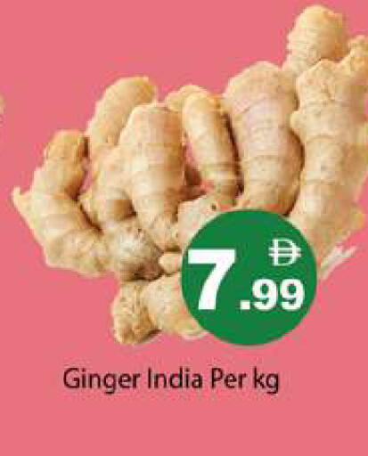 Ginger from India available at Gulf Hypermarket LLC in UAE - Ras al Khaimah