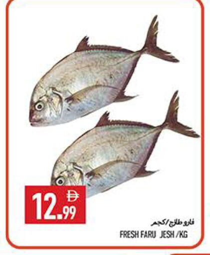 available at  روابي ماركت عجمان in الإمارات العربية المتحدة , الامارات - الشارقة / عجمان